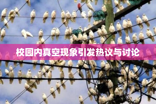 校园内真空现象引发热议与讨论