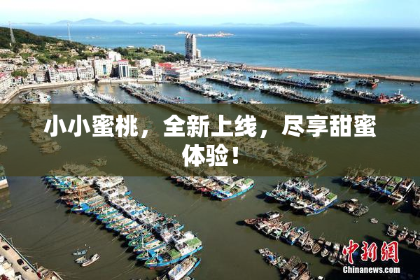 小小蜜桃，全新上线，尽享甜蜜体验！