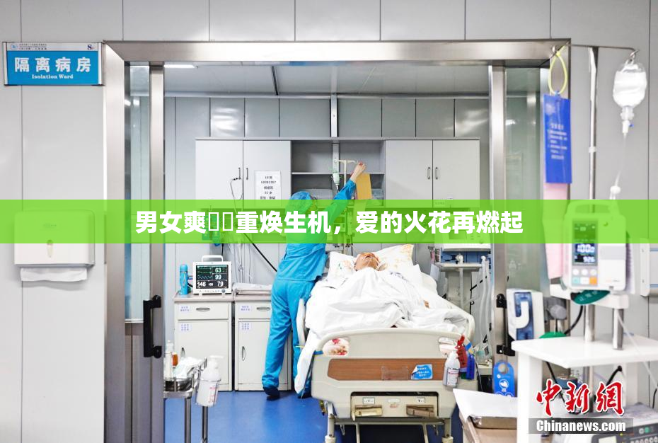 男女爽❌‌重焕生机，爱的火花再燃起