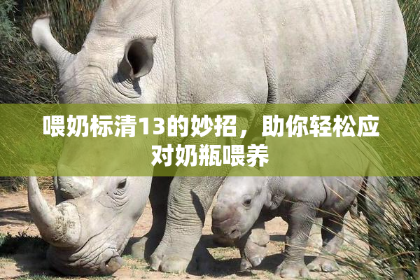 喂奶标清13的妙招，助你轻松应对奶瓶喂养