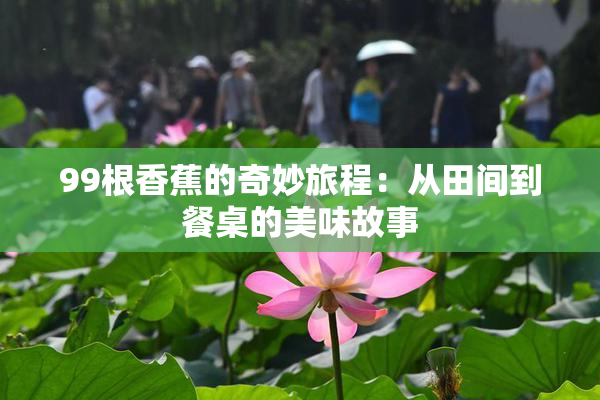 99根香蕉的奇妙旅程：从田间到餐桌的美味故事
