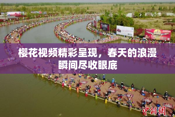 樱花视频精彩呈现，春天的浪漫瞬间尽收眼底