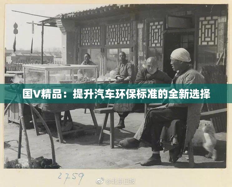 国V精品：提升汽车环保标准的全新选择