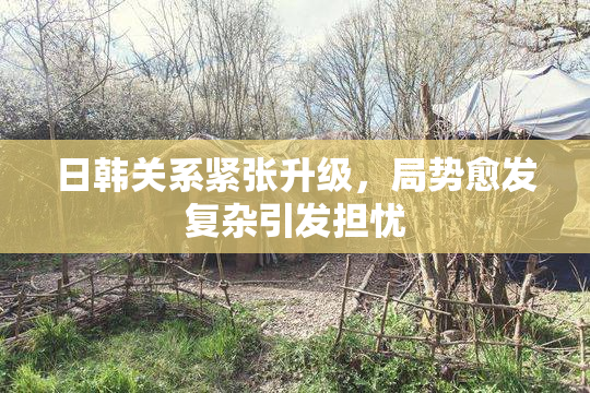 日韩关系紧张升级，局势愈发复杂引发担忧