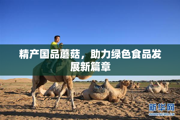 精产国品蘑菇，助力绿色食品发展新篇章