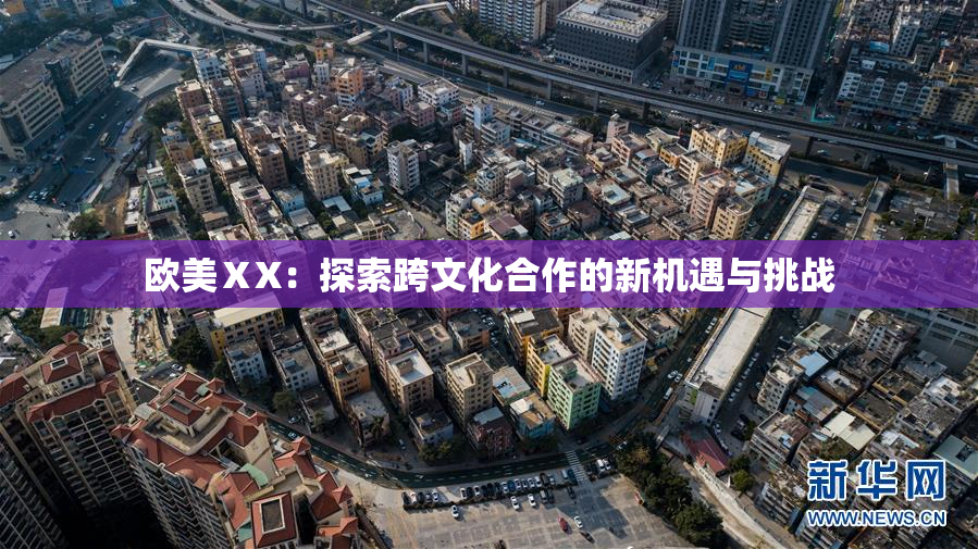 欧美ⅩX：探索跨文化合作的新机遇与挑战