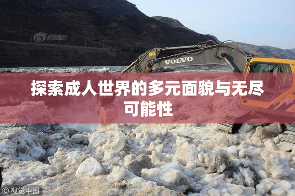 探索成人世界的多元面貌与无尽可能性