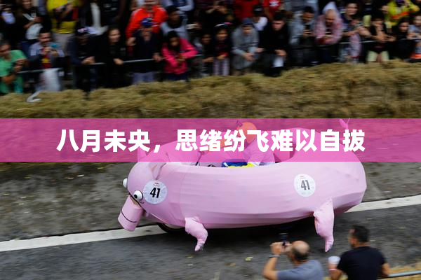 八月未央，思绪纷飞难以自拔