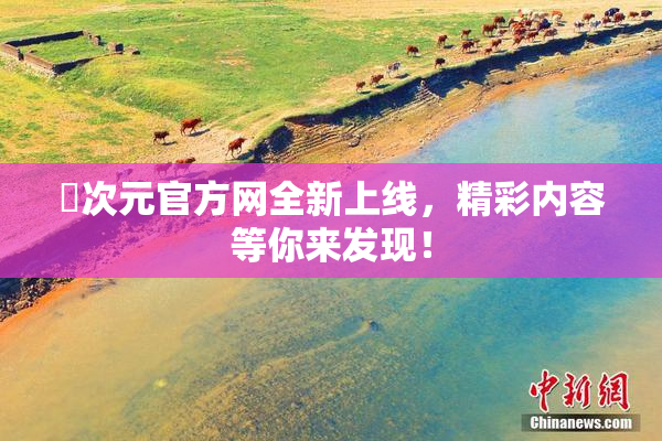 囧次元官方网全新上线，精彩内容等你来发现！