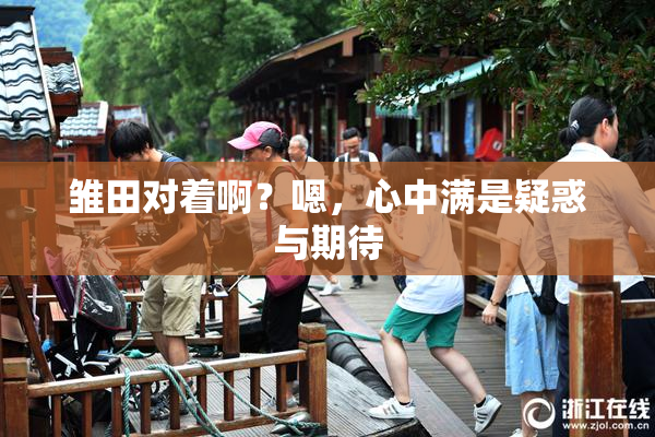 雏田对着啊？嗯，心中满是疑惑与期待