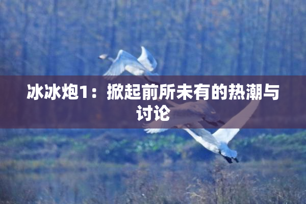 冰冰炮1：掀起前所未有的热潮与讨论