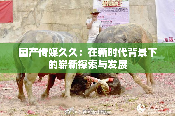 国产传媒久久：在新时代背景下的崭新探索与发展