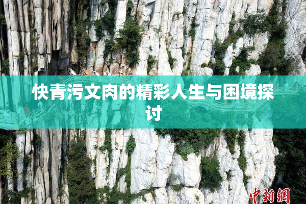快青污文肉的精彩人生与困境探讨