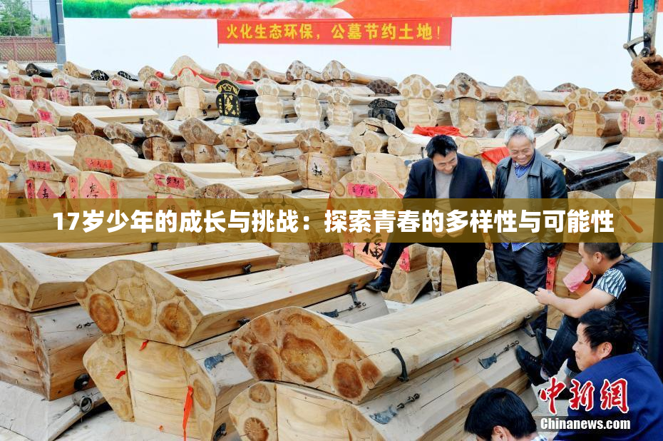 17岁少年的成长与挑战：探索青春的多样性与可能性