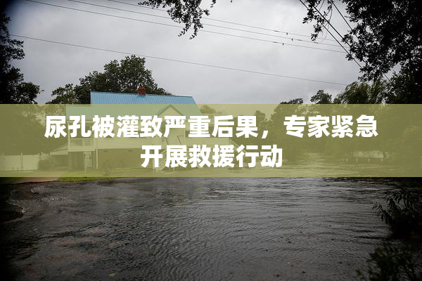 尿孔被灌致严重后果，专家紧急开展救援行动