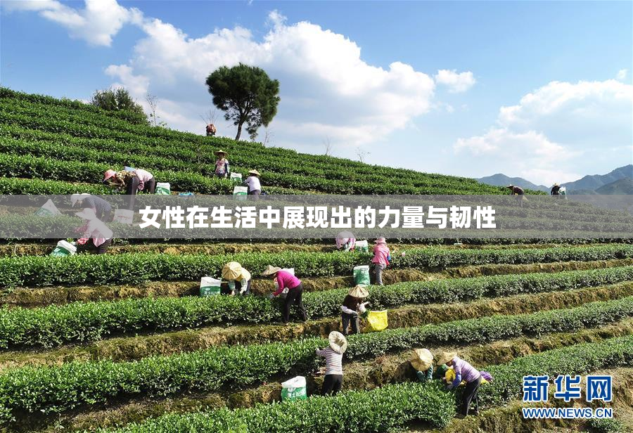 女性在生活中展现出的力量与韧性