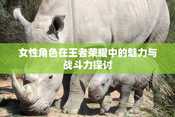 女性角色在王者荣耀中的魅力与战斗力探讨