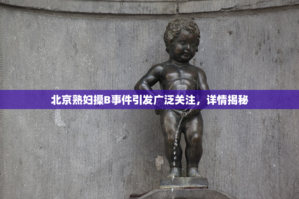 北京熟妇搡B事件引发广泛关注，详情揭秘
