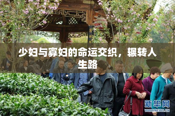少妇与寡妇的命运交织，辗转人生路