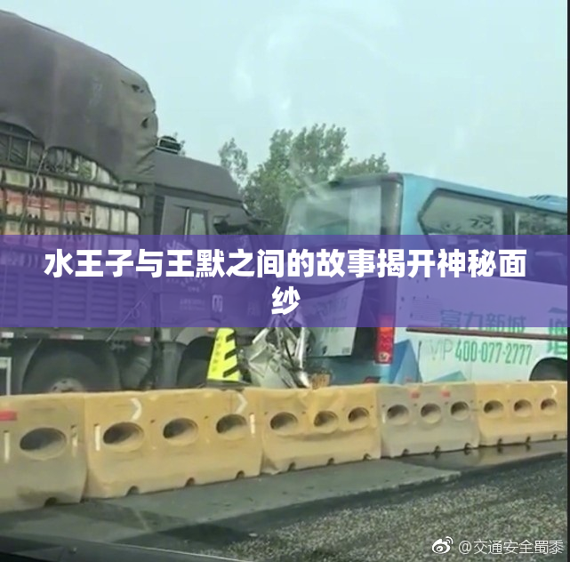 水王子与王默之间的故事揭开神秘面纱