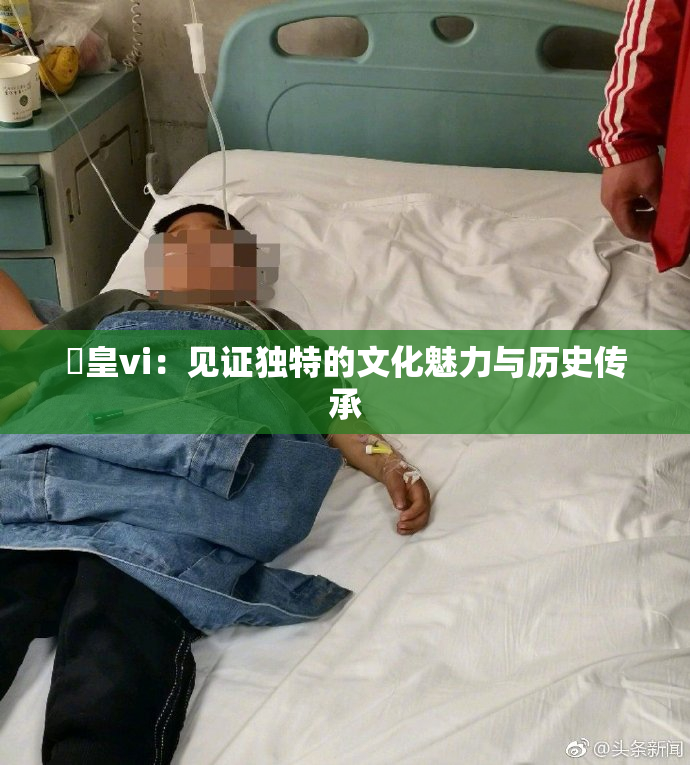 嘼皇vi：见证独特的文化魅力与历史传承