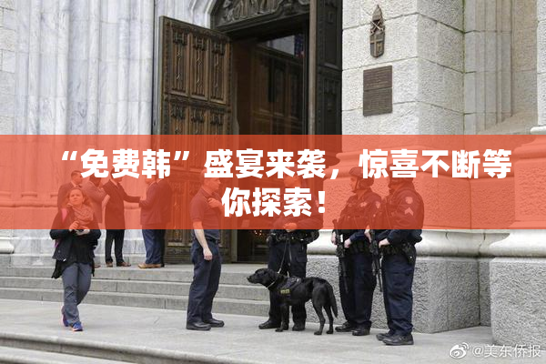 “免费韩”盛宴来袭，惊喜不断等你探索！