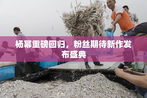 杨幂重磅回归，粉丝期待新作发布盛典