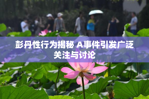 彭丹性行为揭秘 A事件引发广泛关注与讨论