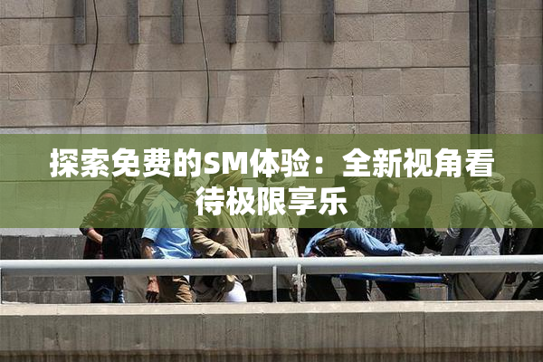 探索免费的SM体验：全新视角看待极限享乐