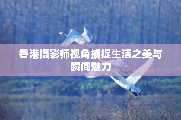 香港摄影师视角捕捉生活之美与瞬间魅力
