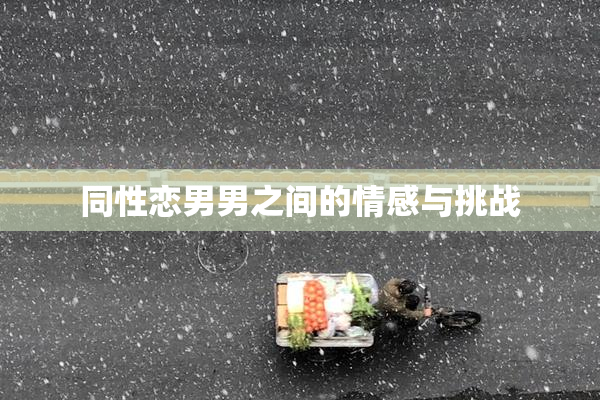 同性恋男男之间的情感与挑战