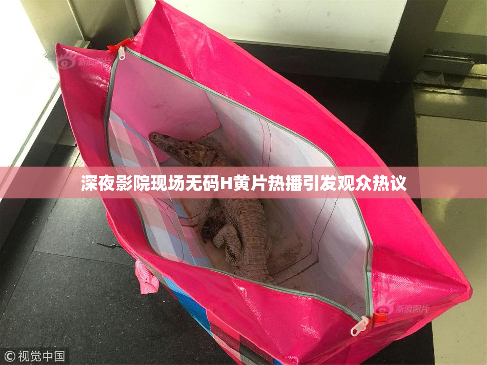 深夜影院现场无码H黄片热播引发观众热议