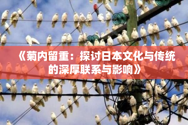 《菊内留重：探讨日本文化与传统的深厚联系与影响》