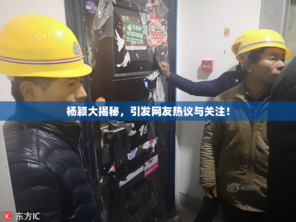 杨颖大揭秘，引发网友热议与关注！