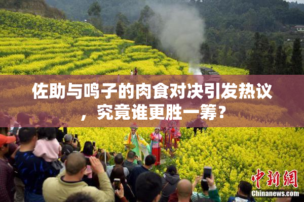 佐助与鸣子的肉食对决引发热议，究竟谁更胜一筹？