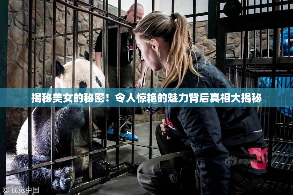 揭秘美女的秘密！令人惊艳的魅力背后真相大揭秘