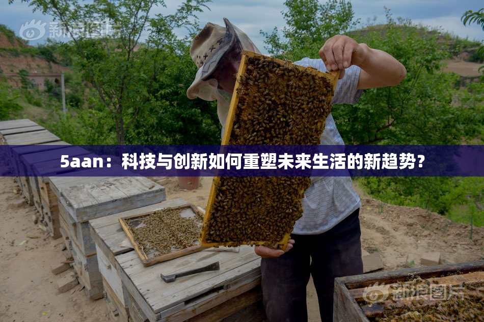 5aan：科技与创新如何重塑未来生活的新趋势？