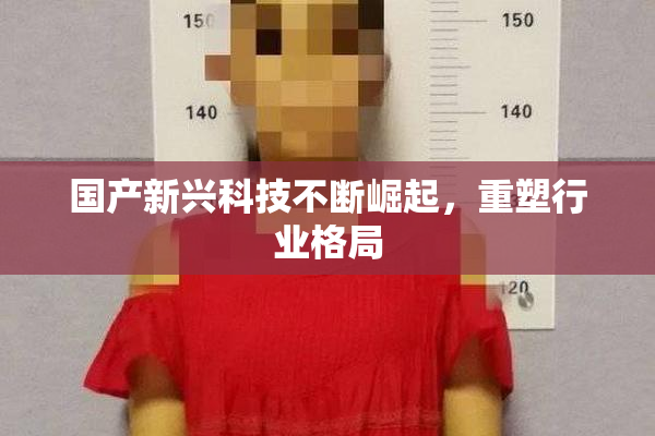 国产新兴科技不断崛起，重塑行业格局