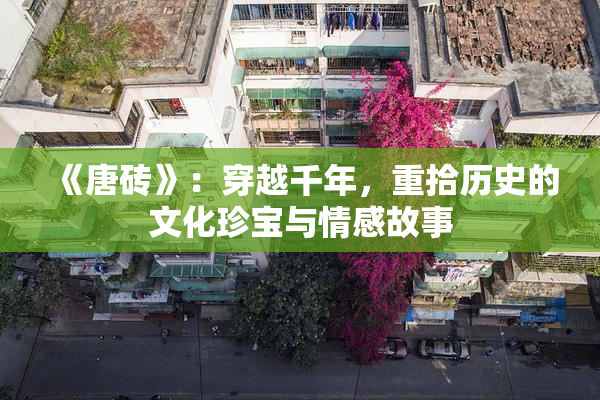 《唐砖》：穿越千年，重拾历史的文化珍宝与情感故事