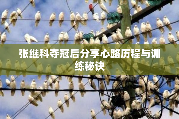 张继科夺冠后分享心路历程与训练秘诀