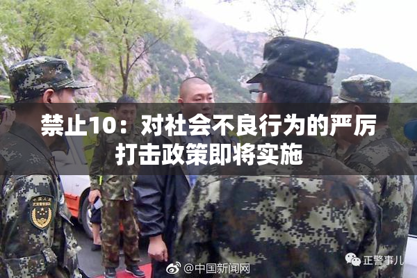 禁止10：对社会不良行为的严厉打击政策即将实施