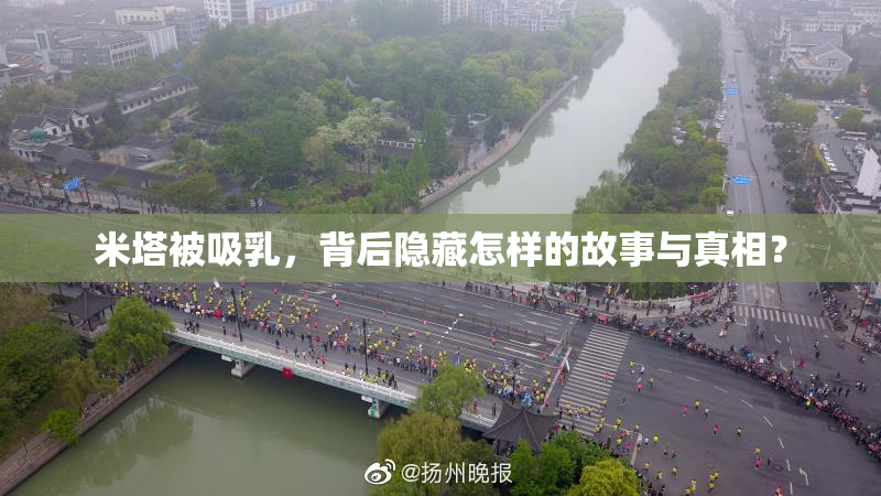 米塔被吸乳，背后隐藏怎样的故事与真相？