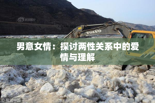 男意女情：探讨两性关系中的爱情与理解