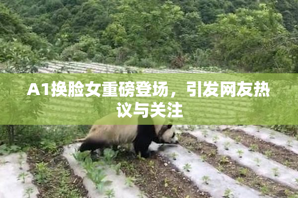A1换脸女重磅登场，引发网友热议与关注