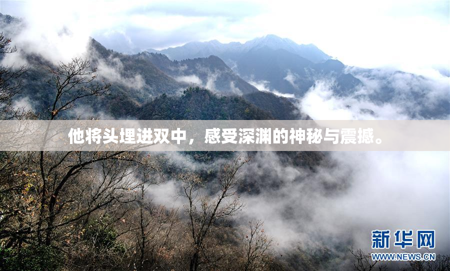 他将头埋进双中，感受深渊的神秘与震撼。