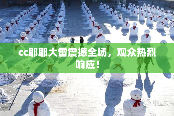 cc耶耶大雷震撼全场，观众热烈响应！