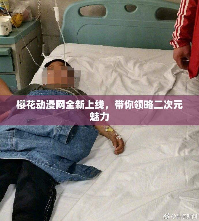 樱花动漫网全新上线，带你领略二次元魅力