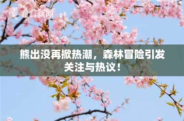 熊出没再掀热潮，森林冒险引发关注与热议！