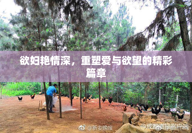 欲妇艳情深，重塑爱与欲望的精彩篇章