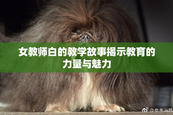女教师白的教学故事揭示教育的力量与魅力